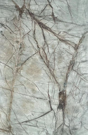 Rainforest Translucent - SK 331T - Sketch Australia